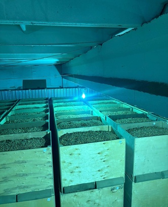 b431c0bc-6a6d-4d58-b8d9-e4c87a588c4c-изображение whatsapp 2025-09-30 в 14.21.35_c8a60391.jpg